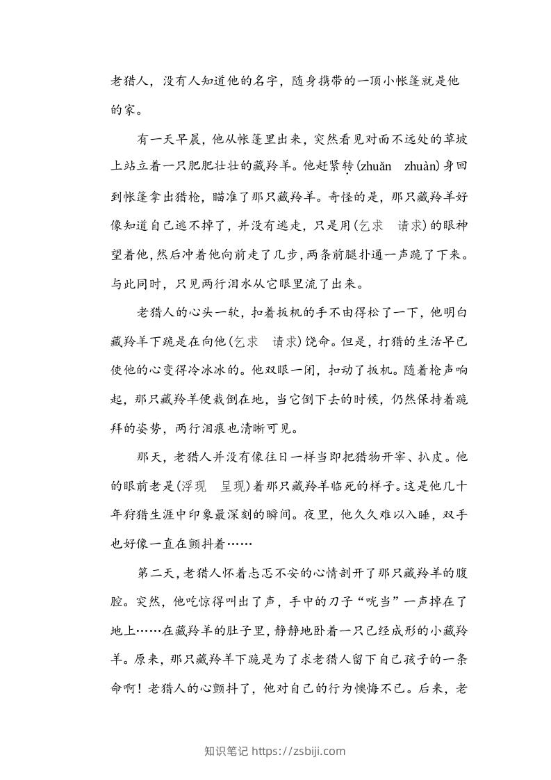 图片[3]-五年级语文下册近义词、反义词（部编版）-知识笔记