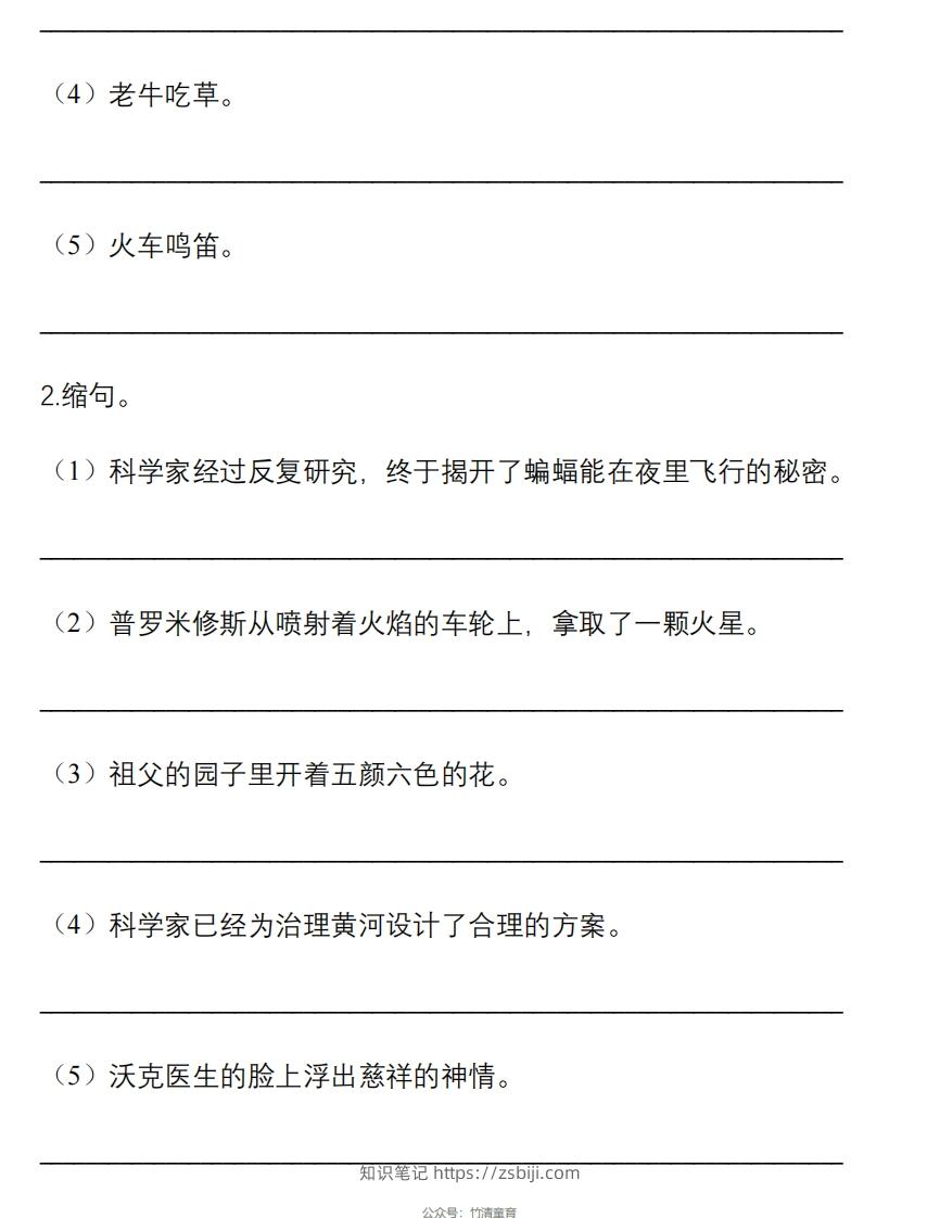 图片[3]-5年级句子专项练习-知识笔记