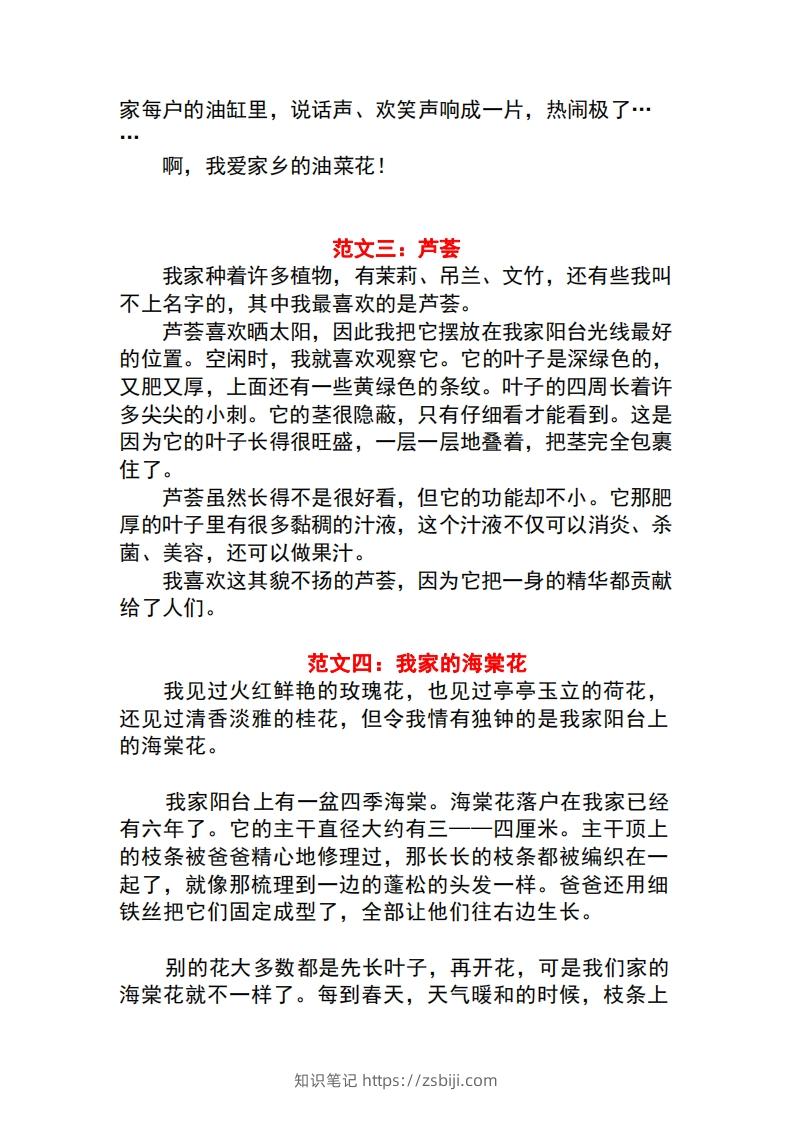 图片[2]-三年级语文下册1-8单元作文范文-知识笔记