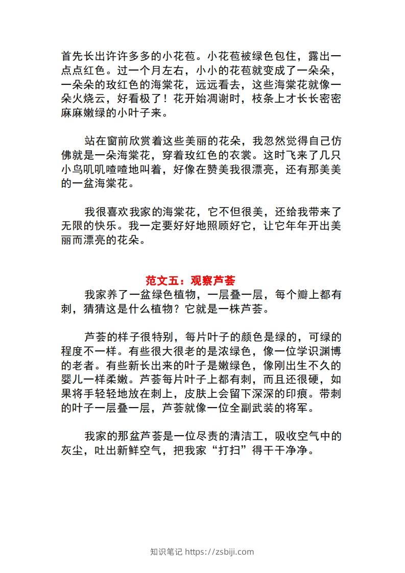 图片[3]-三年级语文下册1-8单元作文范文-知识笔记