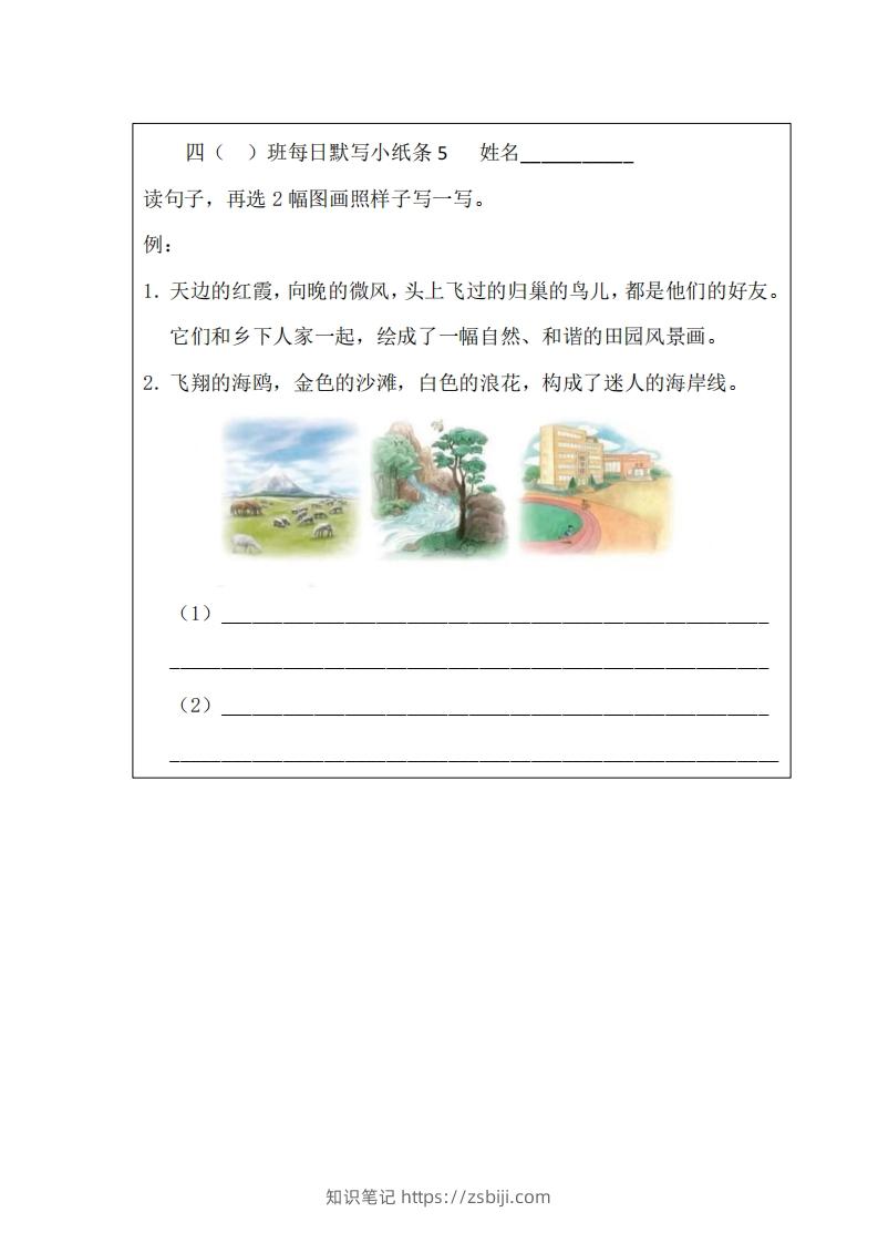 图片[3]-每日默写小纸条(四下）-知识笔记