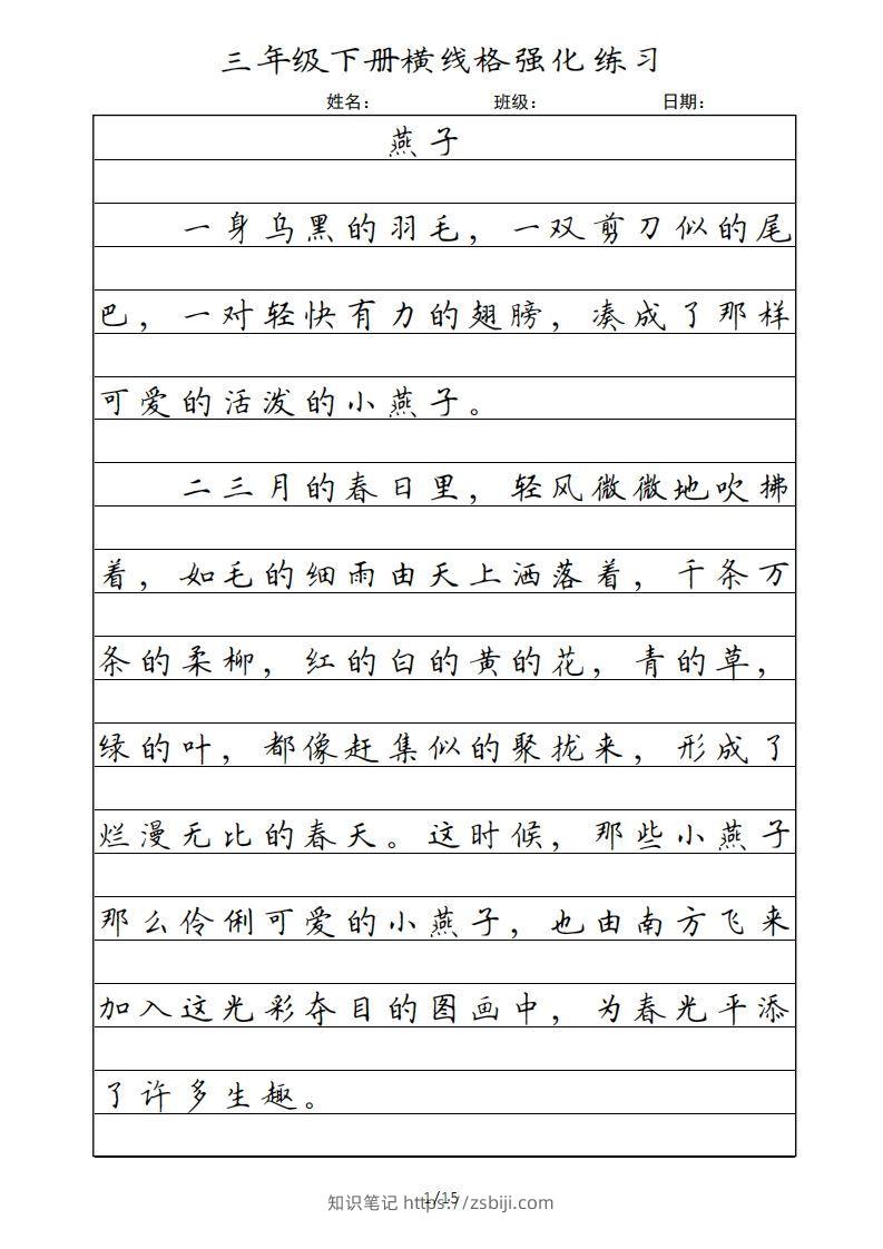 三年级语文下册横线格（部编版）-知识笔记