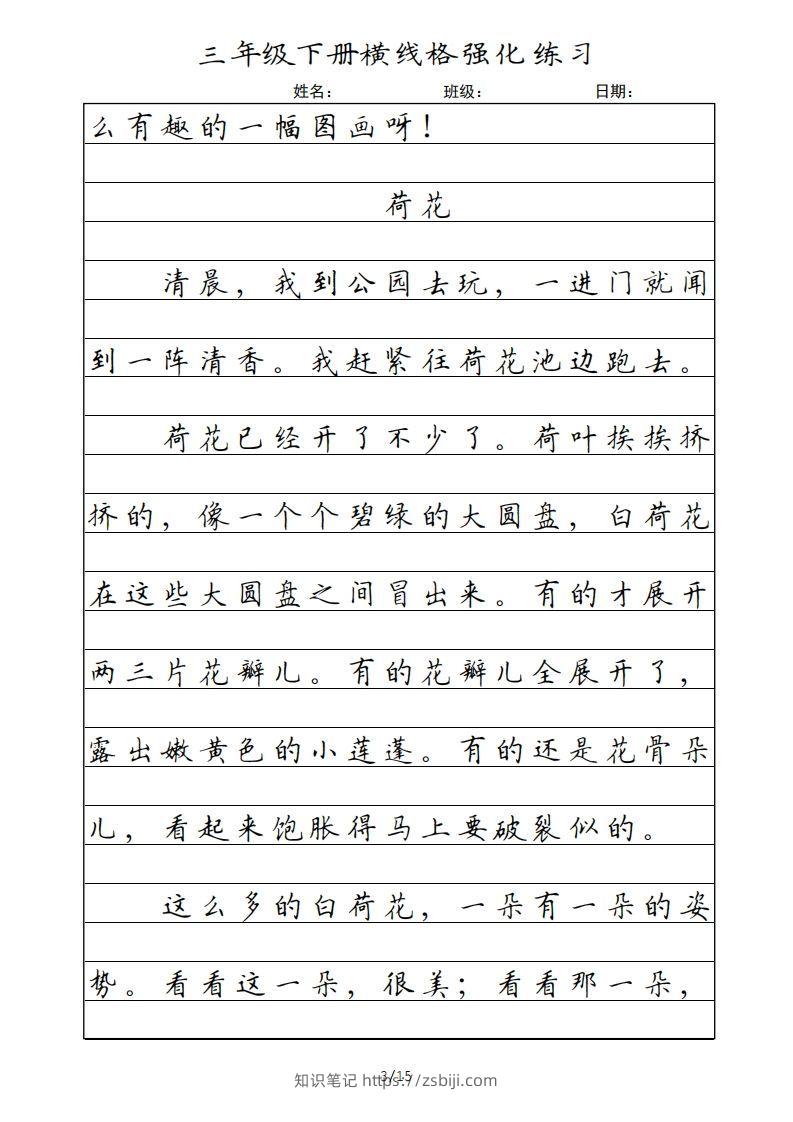 图片[3]-三年级语文下册横线格（部编版）-知识笔记