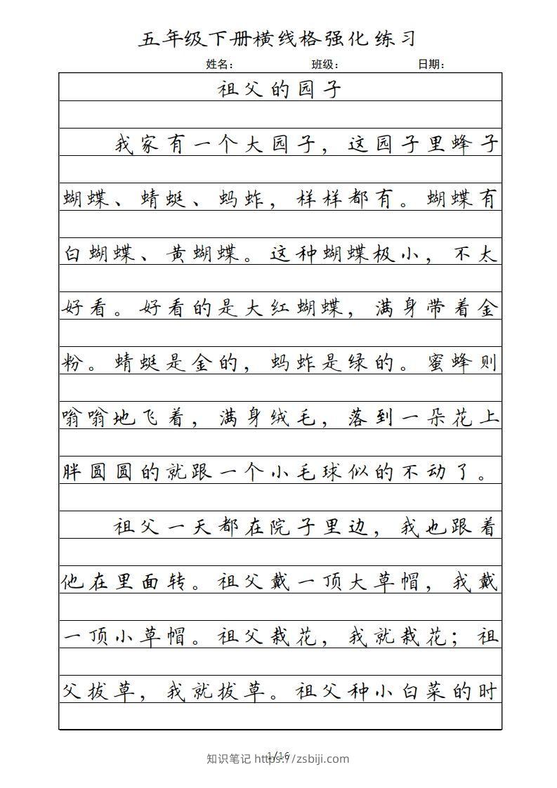 五年级语文下册横线格（部编版）-知识笔记