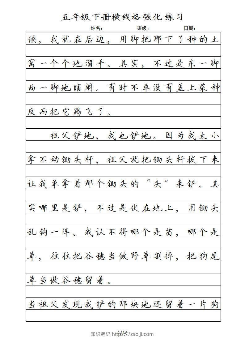 图片[2]-五年级语文下册横线格（部编版）-知识笔记