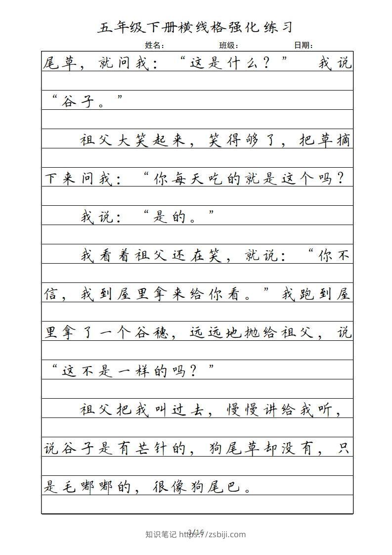 图片[3]-五年级语文下册横线格（部编版）-知识笔记