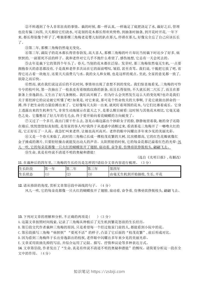 图片[3]-2023-2024学年统编版八年级语文上册第四单元测试题及答案(Word版)-知识笔记