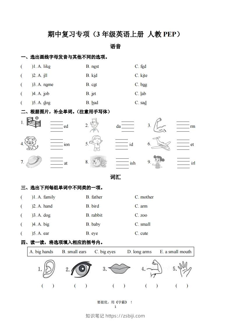 期中复习专项（三上英语人教版）-知识笔记