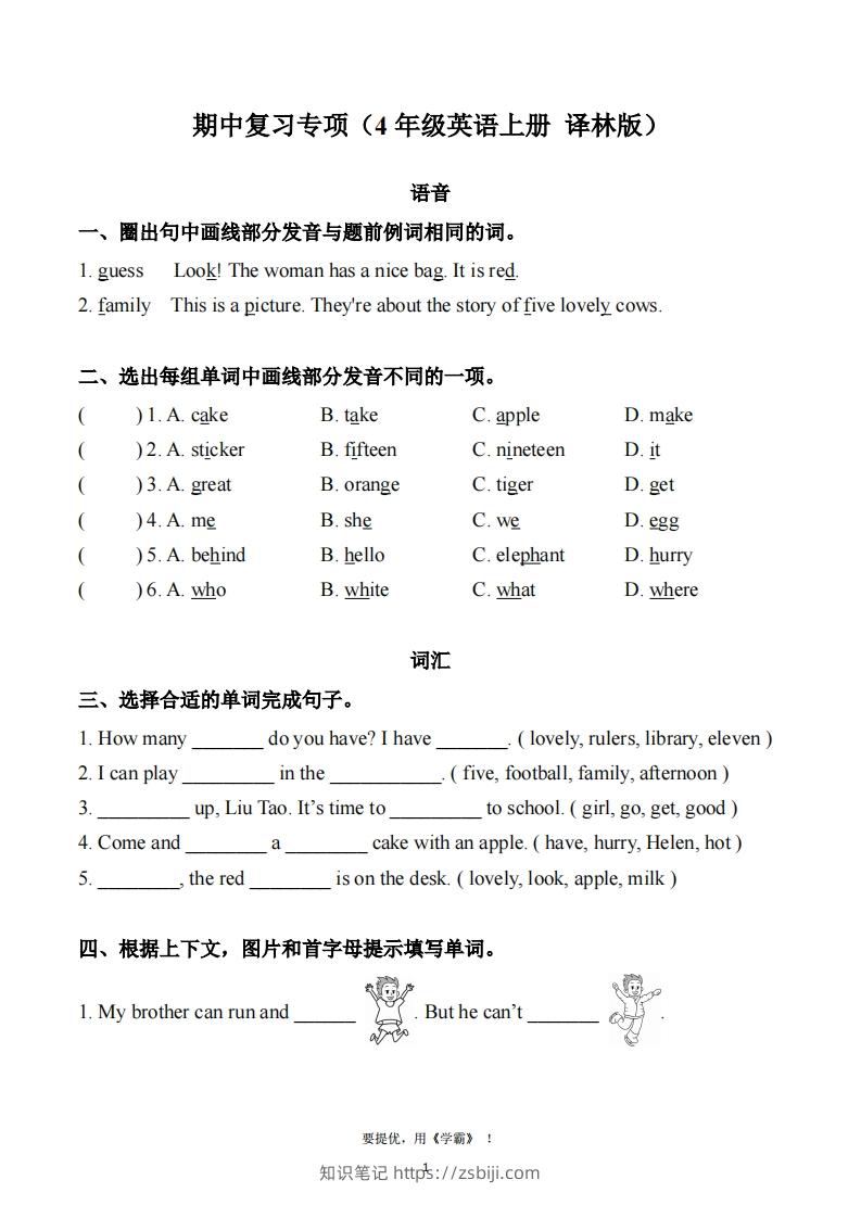 期中复习专项（四上英语译林版）-知识笔记