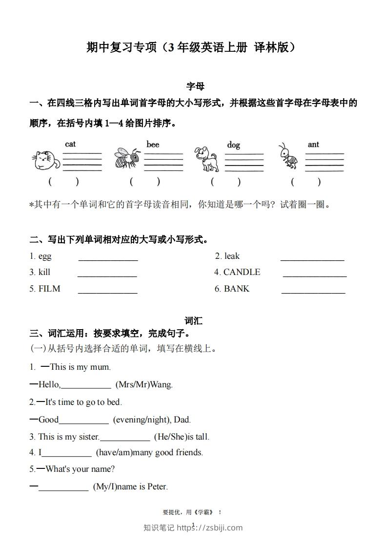 期中复习专项（三上英语译林版）-知识笔记