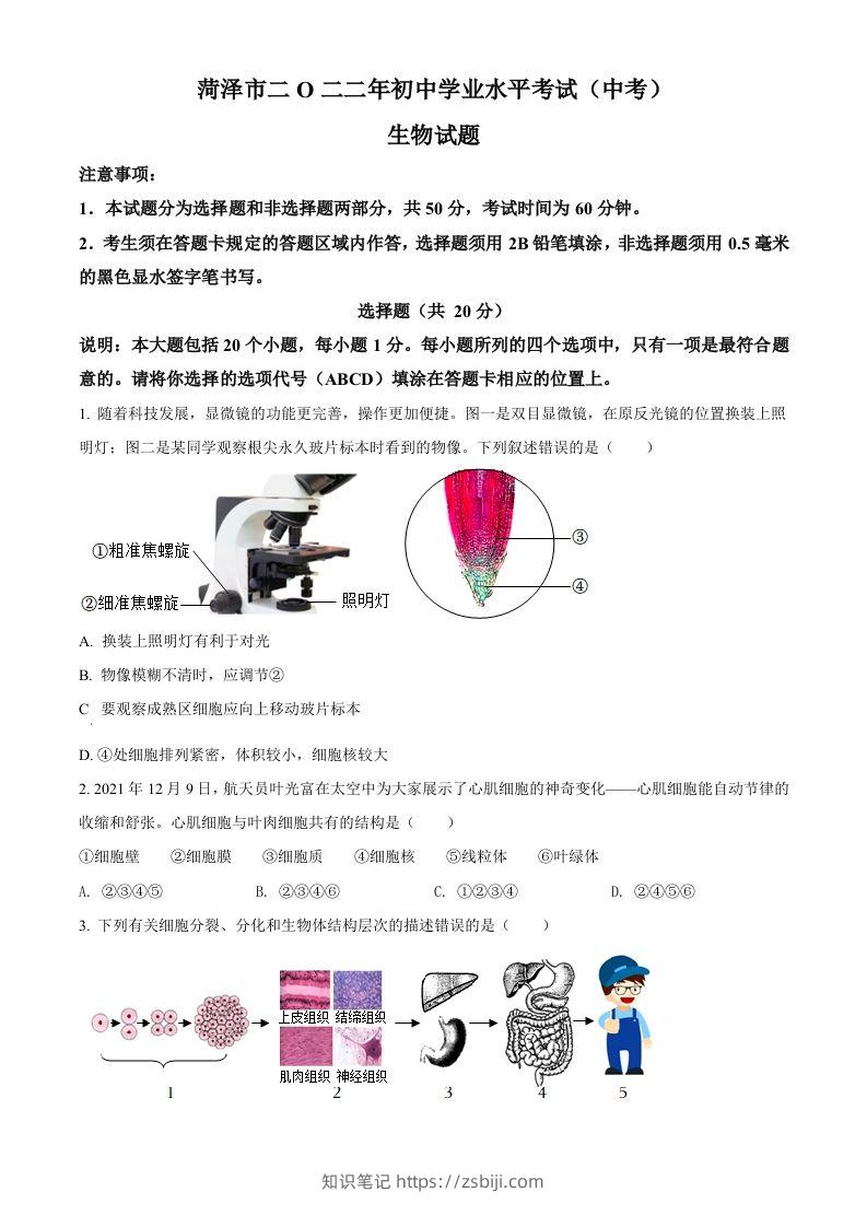 2022年山东省菏泽市中考生物真题（空白卷）-知识笔记