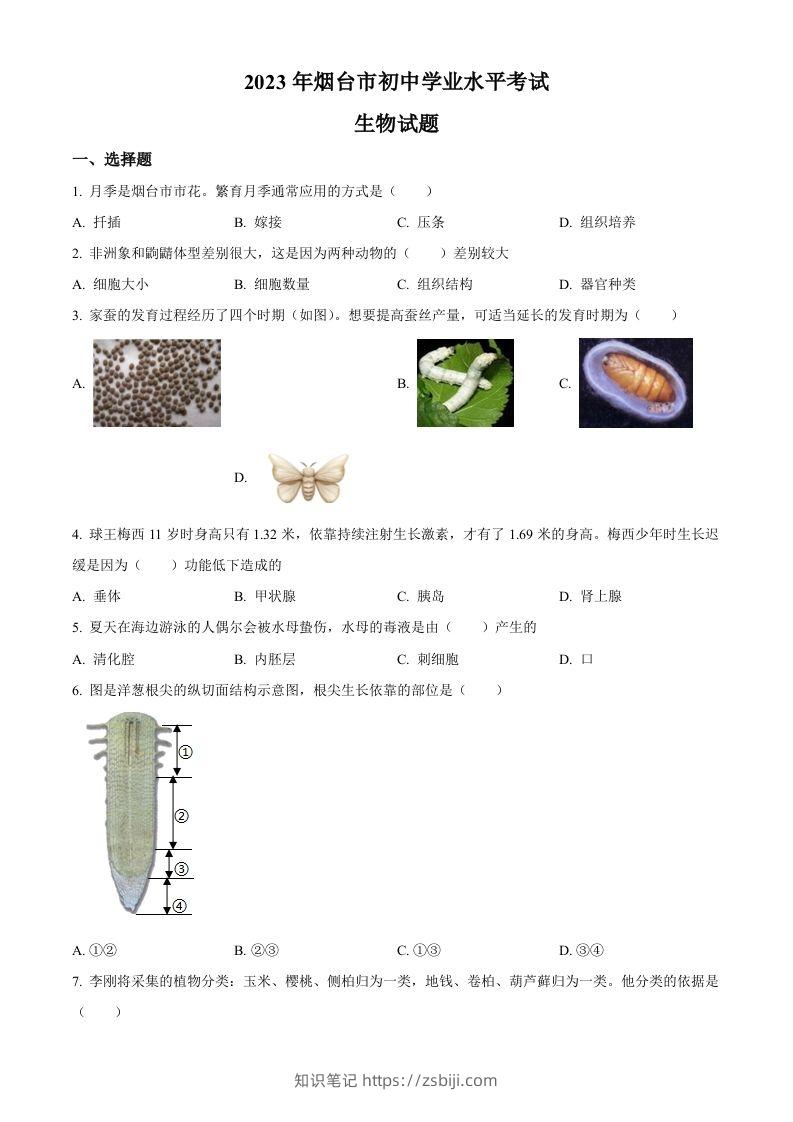 2023年山东省烟台市中考生物真题（空白卷）-知识笔记