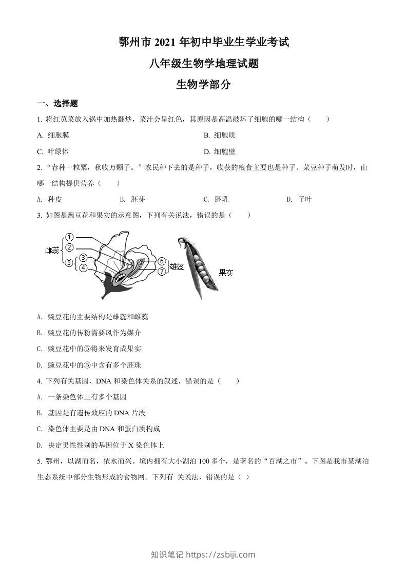 湖北省鄂州市2021年中考生物试题（空白卷）-知识笔记