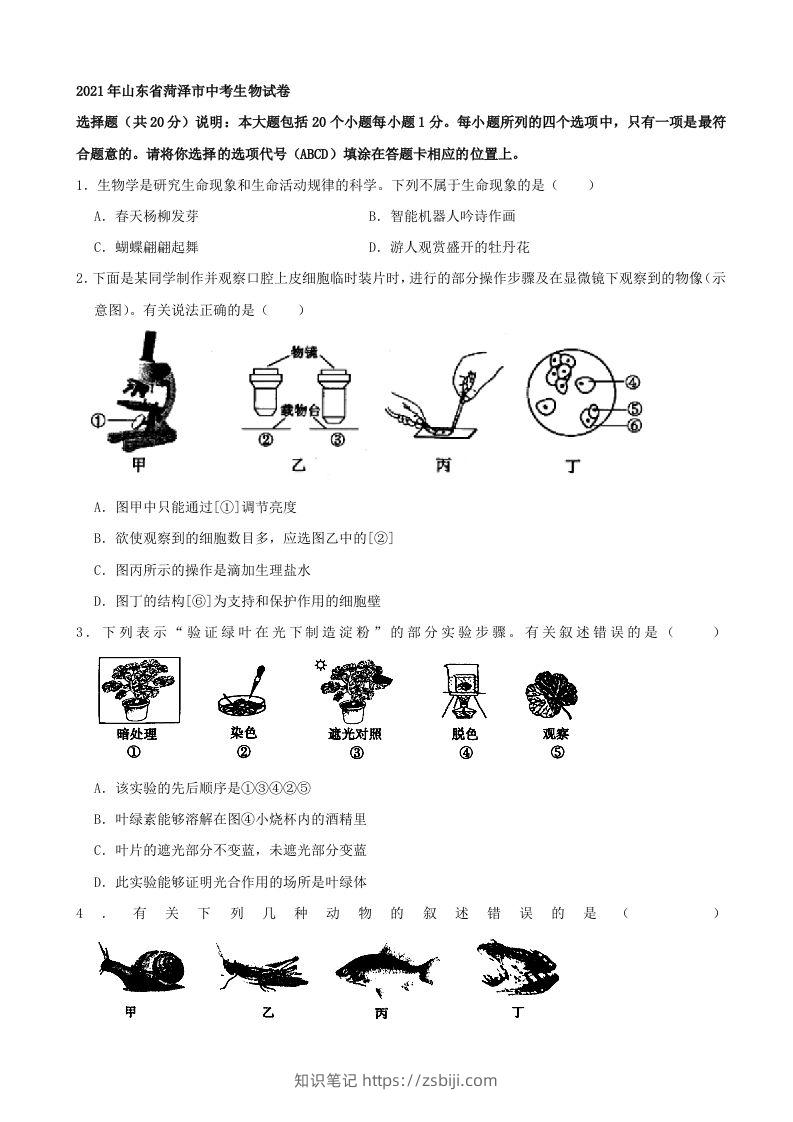 2021年山东省菏泽市中考生物真题（word，含答案）-知识笔记