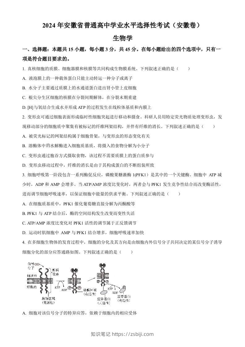 2024年高考生物试卷（安徽）（空白卷）-知识笔记
