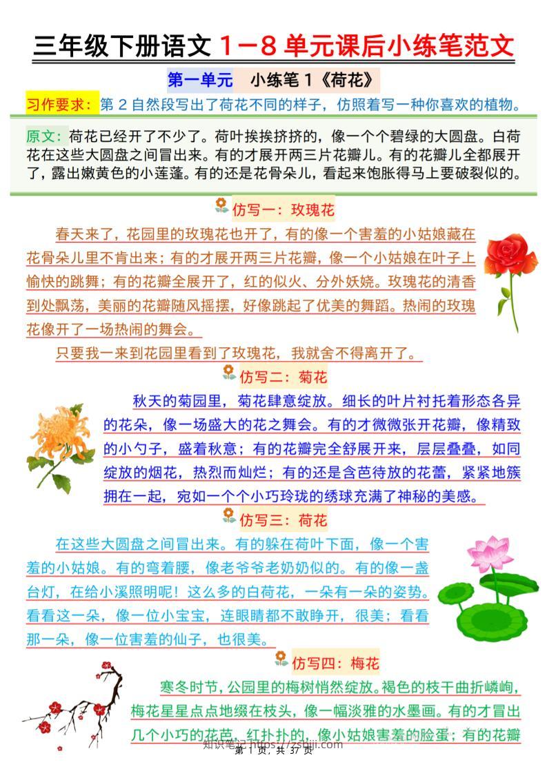 三下语文1-8单元课后小练笔范文（37页）-知识笔记