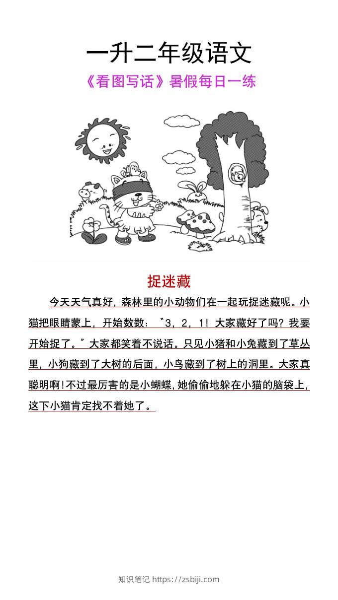一升二年级语文上册《看图写话》暑假每日一练-知识笔记