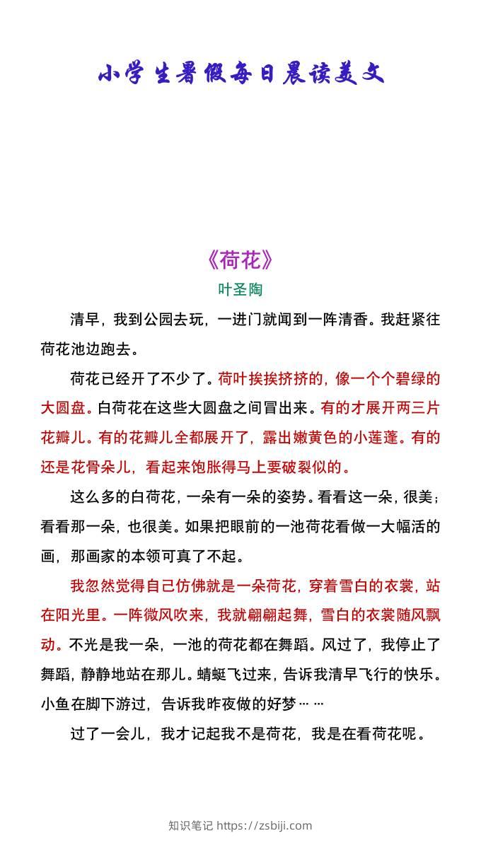 小学生暑假每日晨读美文：叶圣陶《荷花》-小升初语文-知识笔记