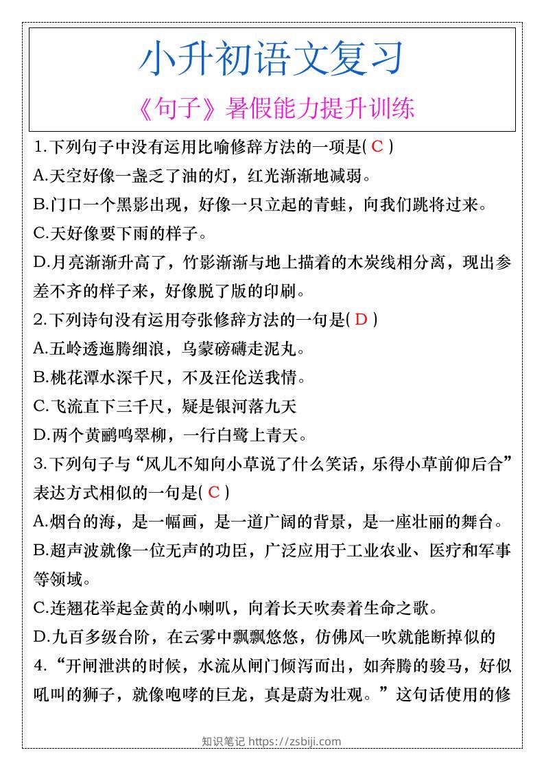 小升初语文《句子》暑假能力提升训练-小升初语文-知识笔记