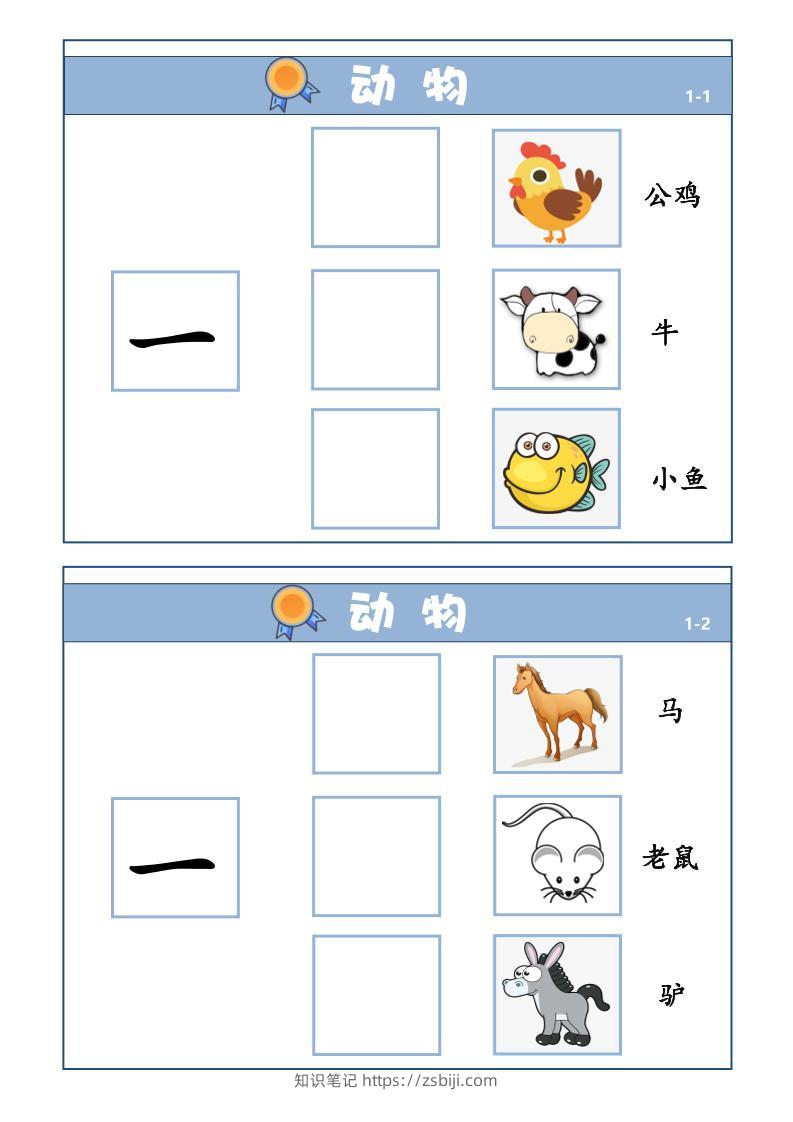 幼小衔接-量词学习-知识笔记