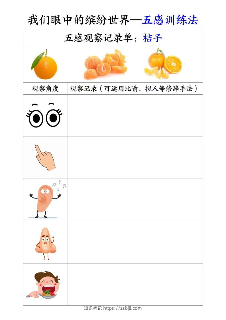 三上语文-第五单元五感训练法-知识笔记