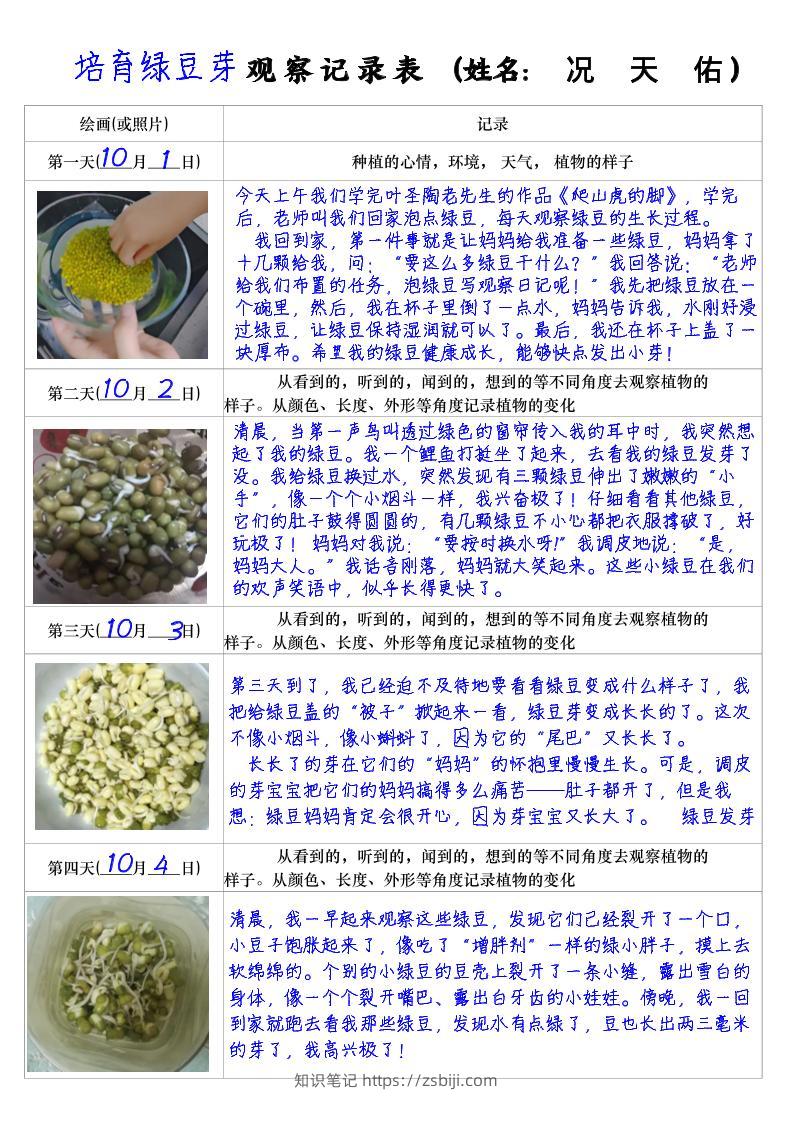 四上语文习作三：培育绿豆芽观察日记2《写观察日记》4页-知识笔记