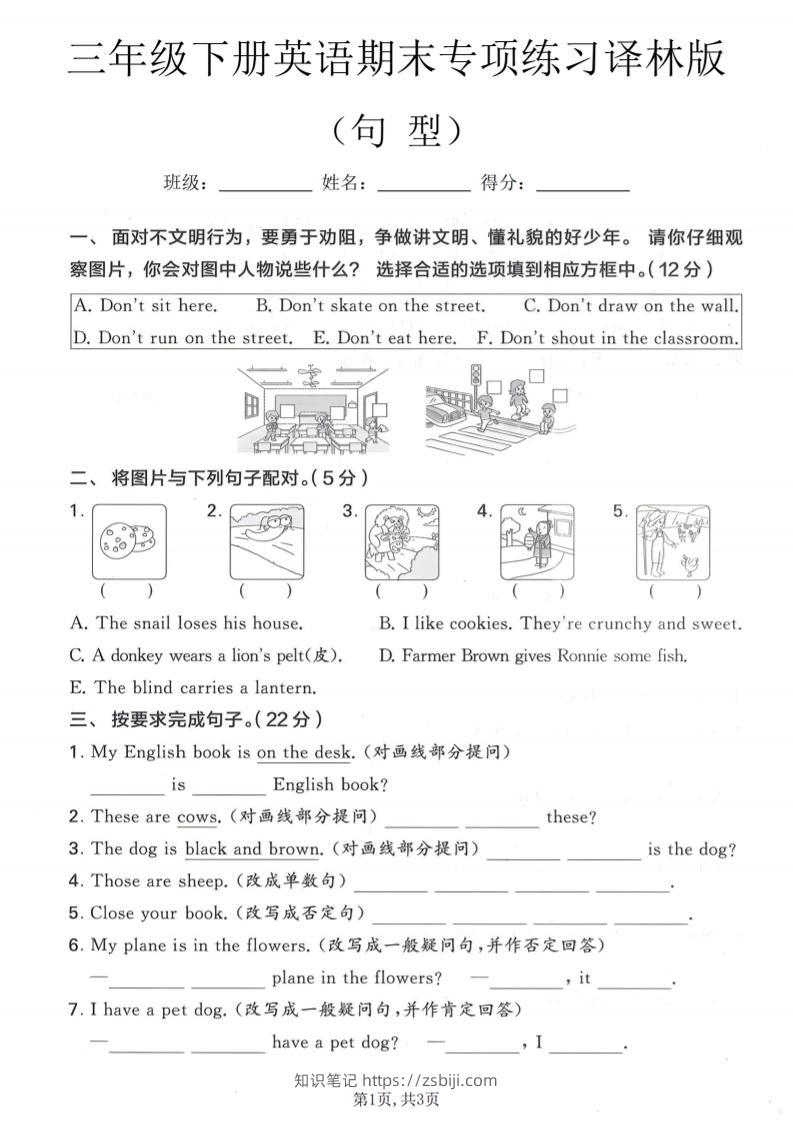 三年级下英语期末句型专项练习《译林版》-知识笔记
